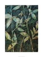 Mystic Reflection I Giclee