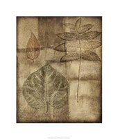 Impressed On Patina I Giclee