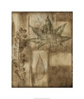 Impressed On Patina III Giclee