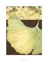 Filigree Ginkgo I Giclee