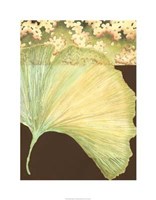 Filigree Ginkgo II Giclee