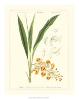 Lush Tropical III Giclee