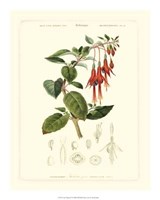 Lush Tropical IV Giclee