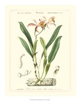 Lush Tropical VI Giclee