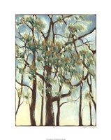 Shenandoah Sunrise I Giclee