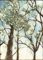 Shenandoah Sunrise II Giclee