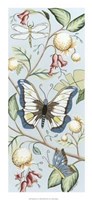 Butterfly Sky II Giclee