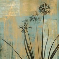 in Play II Fine Art Print