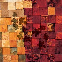 Segments I Fine Art Print