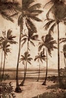 Trade Winds II Fine Art Print