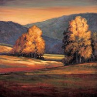 In All Its Glory II Fine Art Print