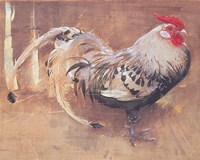 Spangled Cock Fine Art Print