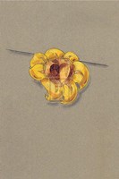 Jewellery Designs VI Fine Art Print