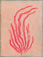 Coral Island I Fine Art Print