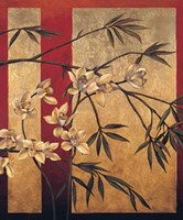 Orchid Screen Fine Art Print