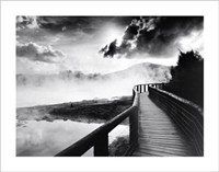 Walkway Over The Lake Fine Art Print