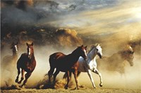 Stampede Fine Art Print
