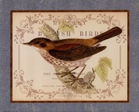 British Birds II Fine Art Print
