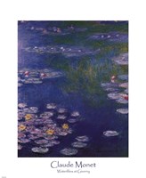 Waterlilies at Giverny Framed Print