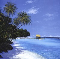 Tropical Paradise II by Steve Thoms - 30" x 30"