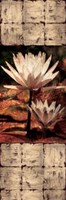 Waterlily Panel II Fine Art Print