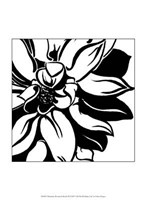 Miniature Botanical Sketch III Fine Art Print