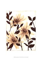 Blossoming Silhouette I Fine Art Print