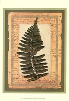 Woodland Scrapbook I Fine Art Print