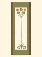 Bristling Stems I Fine Art Print