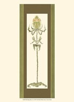 Bristling Stems II Fine Art Print