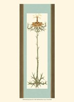 Bristling Stems III Fine Art Print