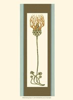 Bristling Stems IV Fine Art Print