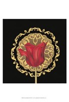 Tulip Medallion II Fine Art Print