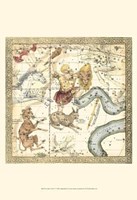 Zodiac Chart IV Fine Art Print