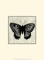 Classical Butterfly II Fine Art Print