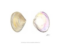 Tidal Treasure I Fine Art Print