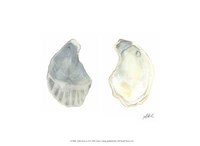 Tidal Treasure II Fine Art Print