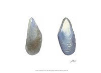 Tidal Treasure III Fine Art Print