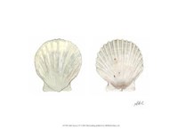 Tidal Treasure IV Fine Art Print