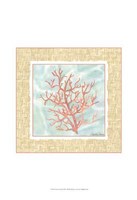 Ocean Coral Framed Print