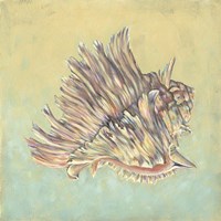 Sand And Sea II Fine Art Print