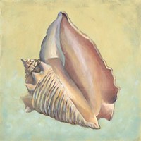 Sand And Sea III Fine Art Print