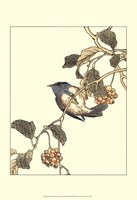 Oriental Bird On Branch III Fine Art Print
