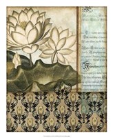 Elegant Water Lily II Giclee