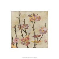 Blossom Collage II Giclee