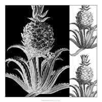 Pop Pineapple II Giclee