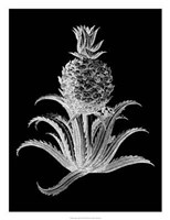 Pineapple Noir II Framed Print