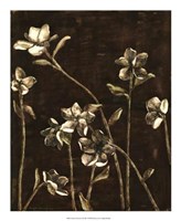 Blossom Nocturne I Giclee