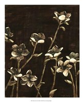 Blossom Nocturne II Giclee