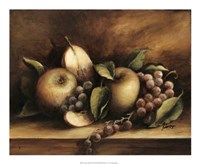 Classic Still Life II Giclee